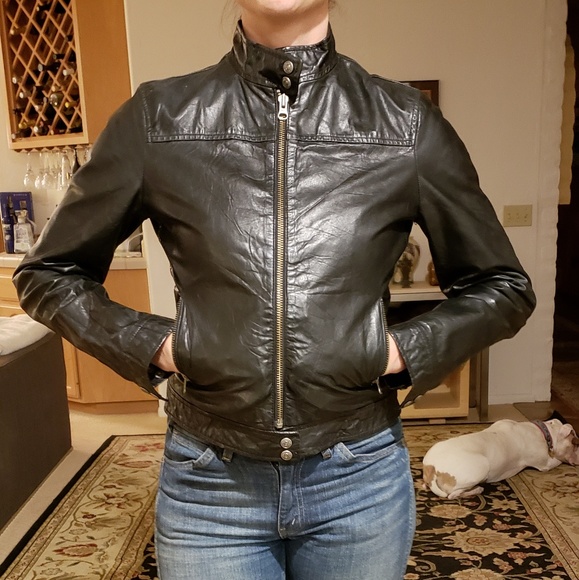 gap leather biker jacket